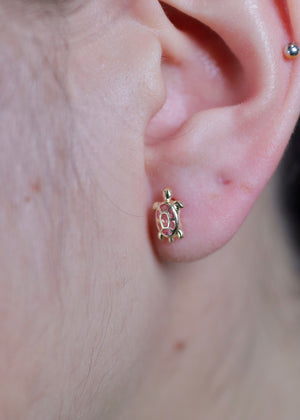 14K Gold Turtle Stud Earrings