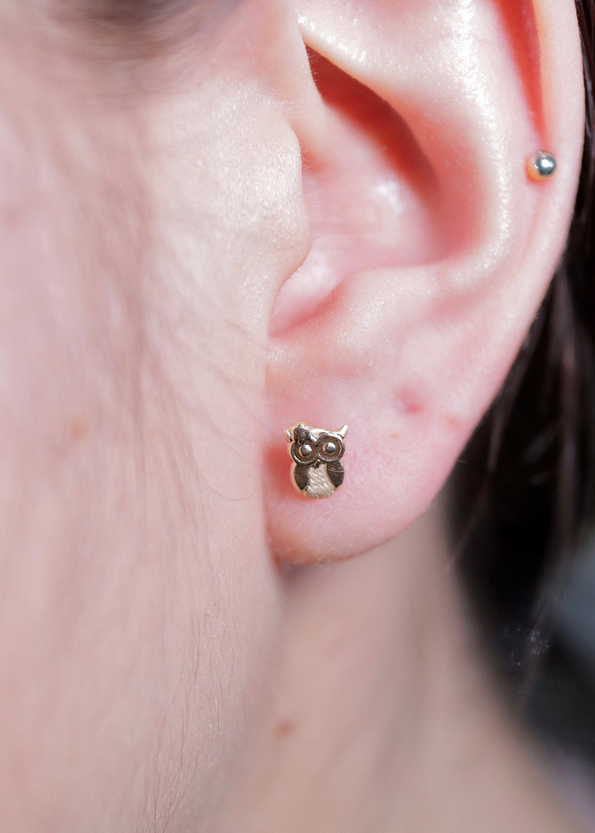 14K Gold Owl Stud Earrings